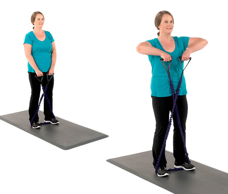Dip Shrug Upper Body Workouts for Women Curves